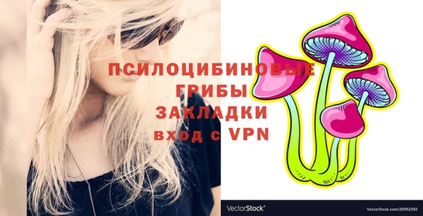 тгк Михайловск