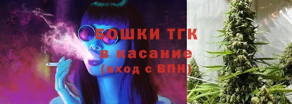 соль ск Михайлов