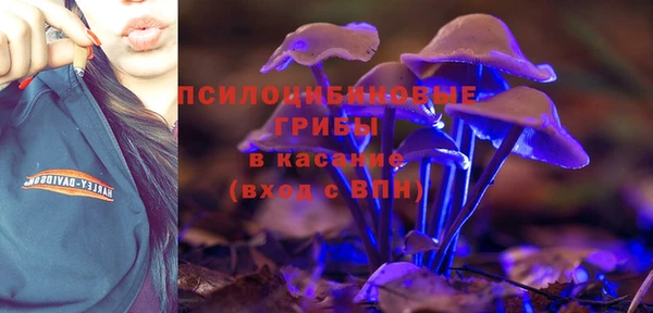 тгк Михайловск